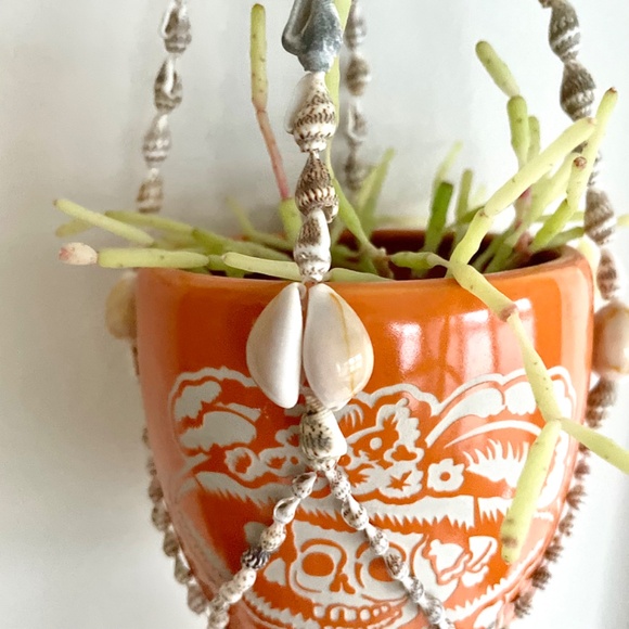 Shell Hanging Basket / Plant Hanger / Wall Hanging - Picture 7 of 16